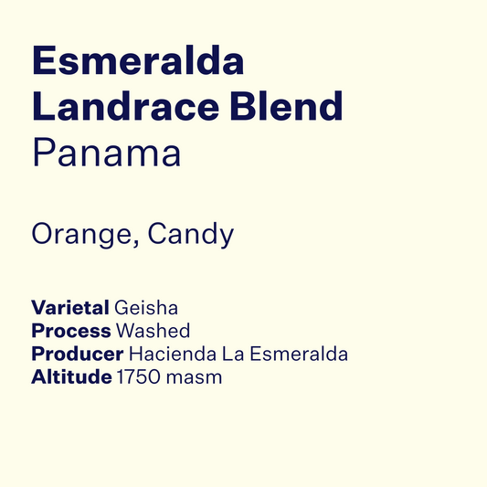 Panama Esmeralda Landrace Blend