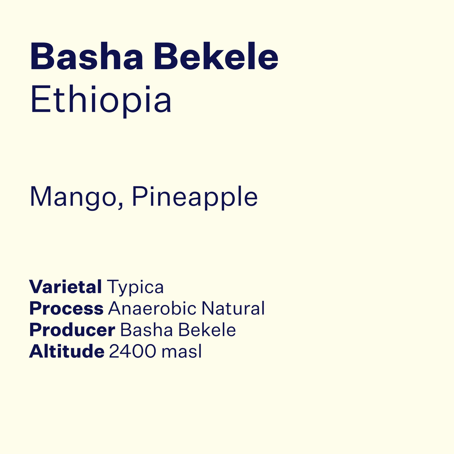 Ethiopia Basha Bekele