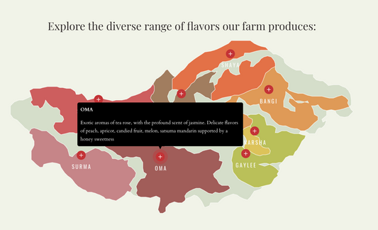 Ethiopia Gesha Village Lot GV-25/032