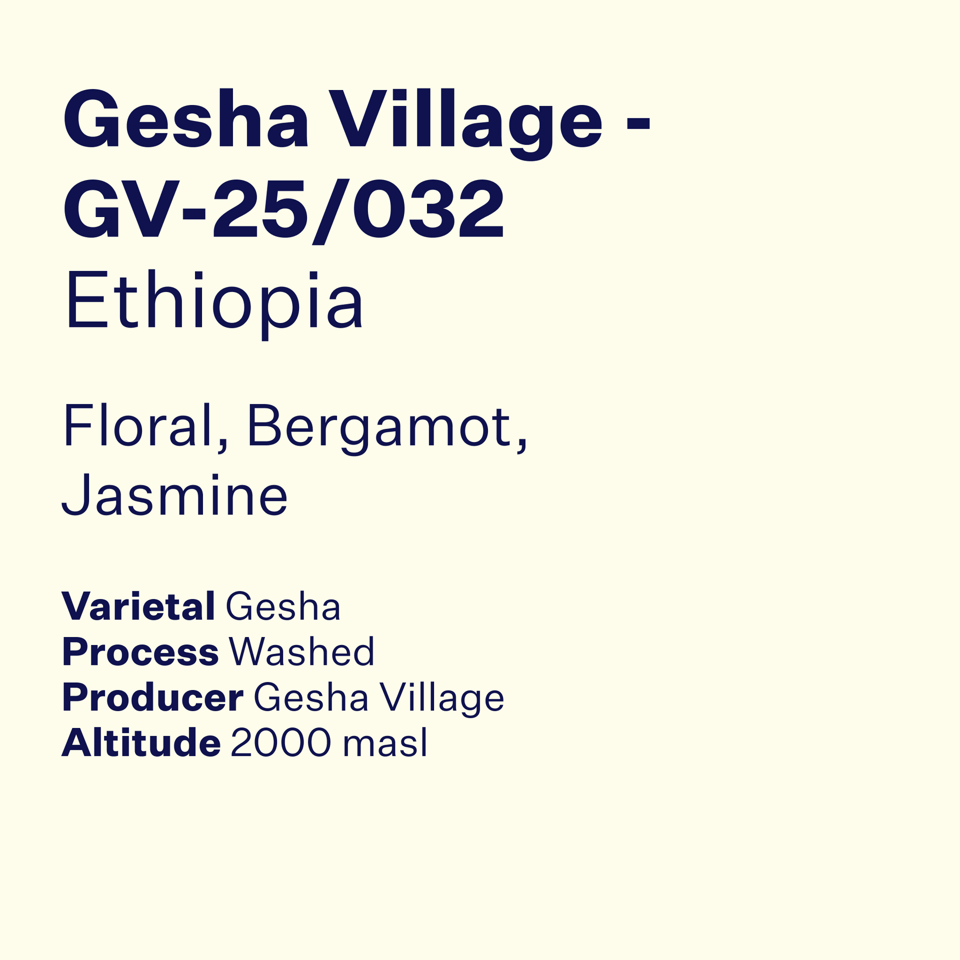 Photo of Ethiopia Gesha Village Lot GV-25/032