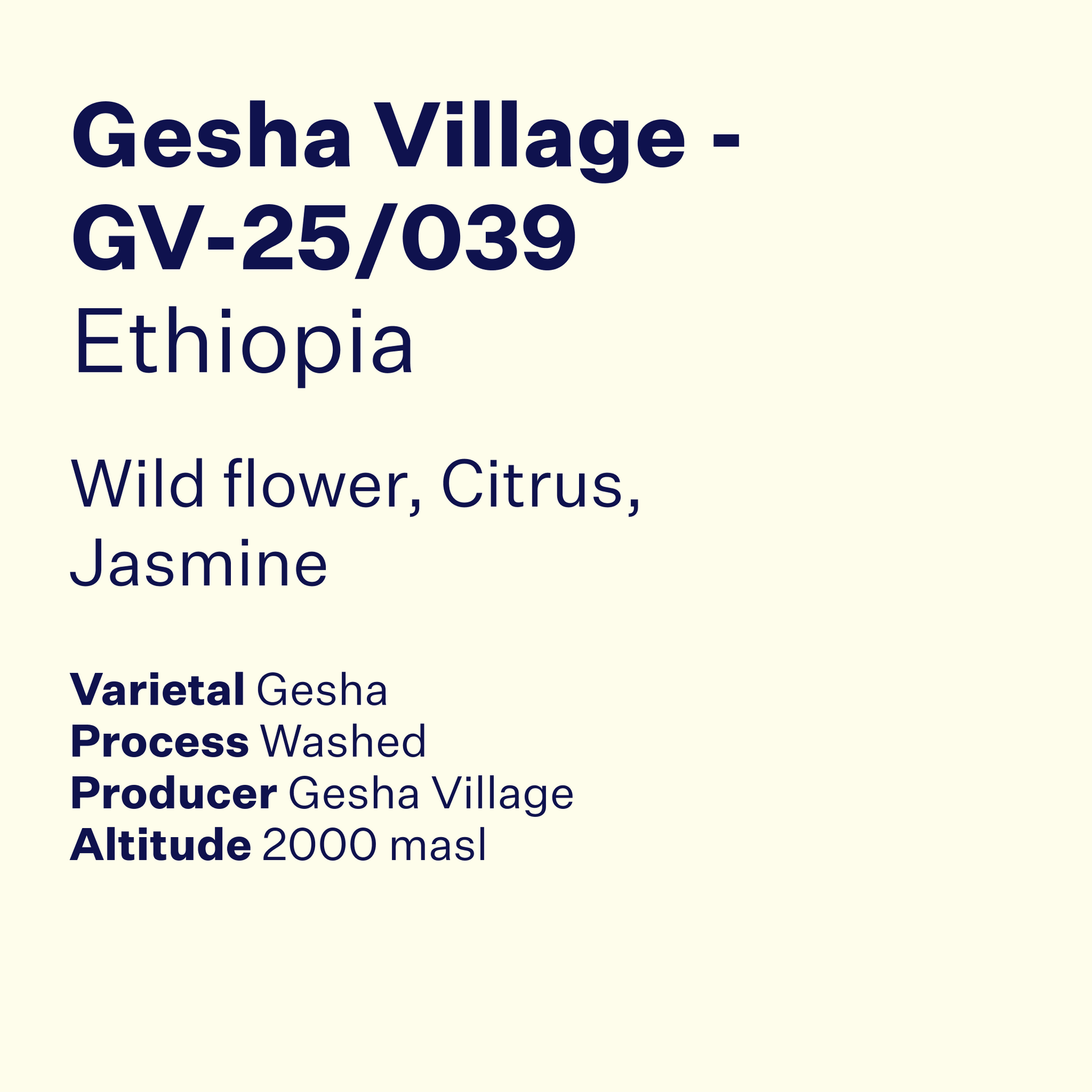 Photo of Ethiopia Gesha Village Lot GV-25/039