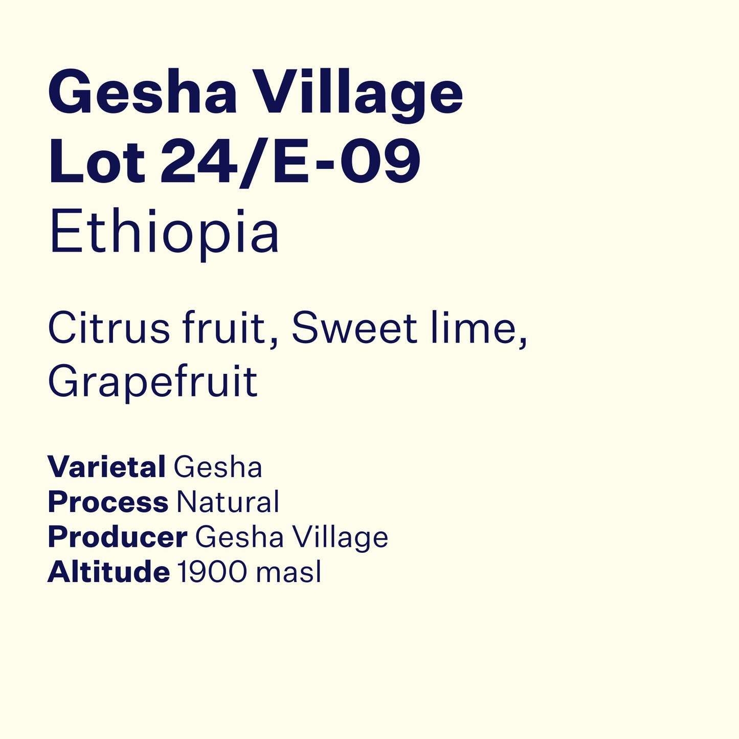 Ethiopia Gesha Village Lot 24/E-09