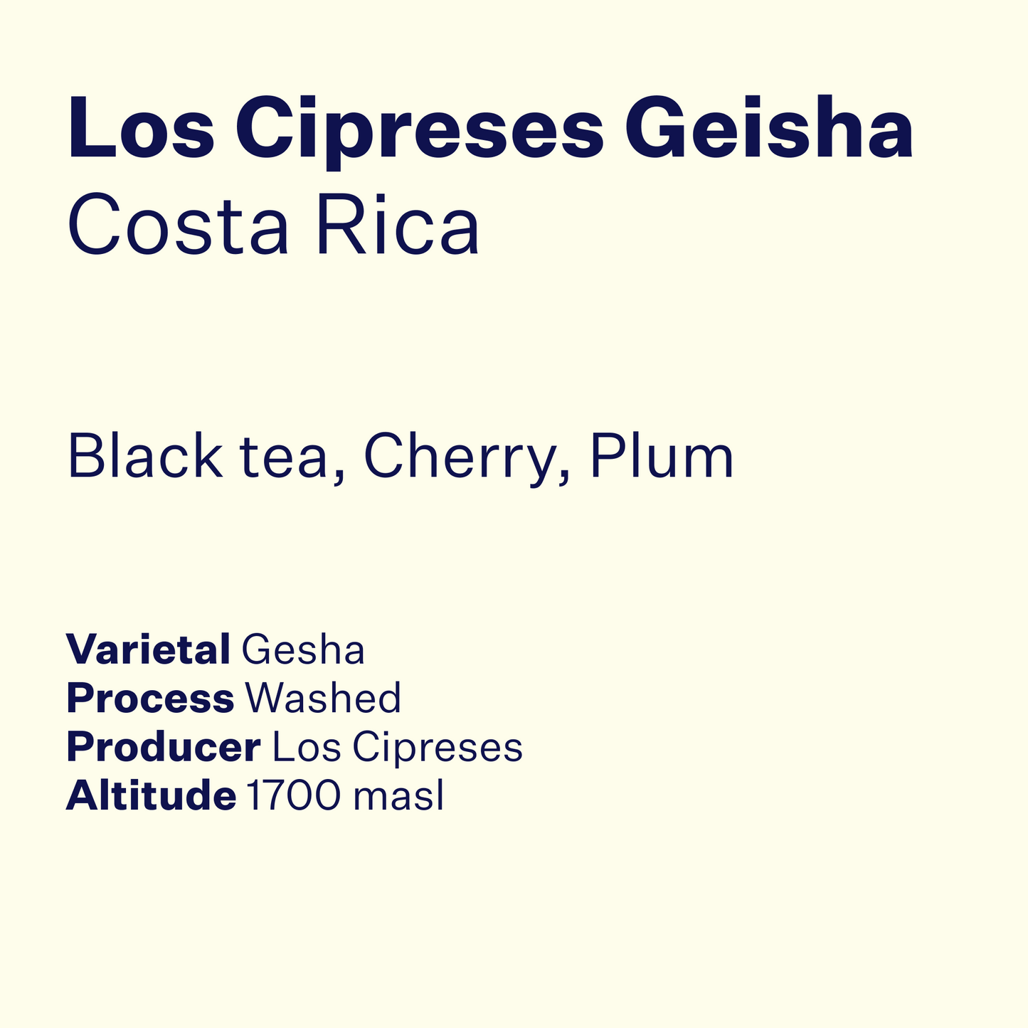 Costa Rica Los Cipreses Geisha