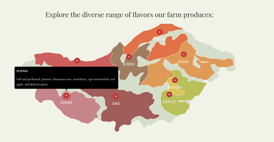 Ethiopia Gesha Village Lot GV-25/039