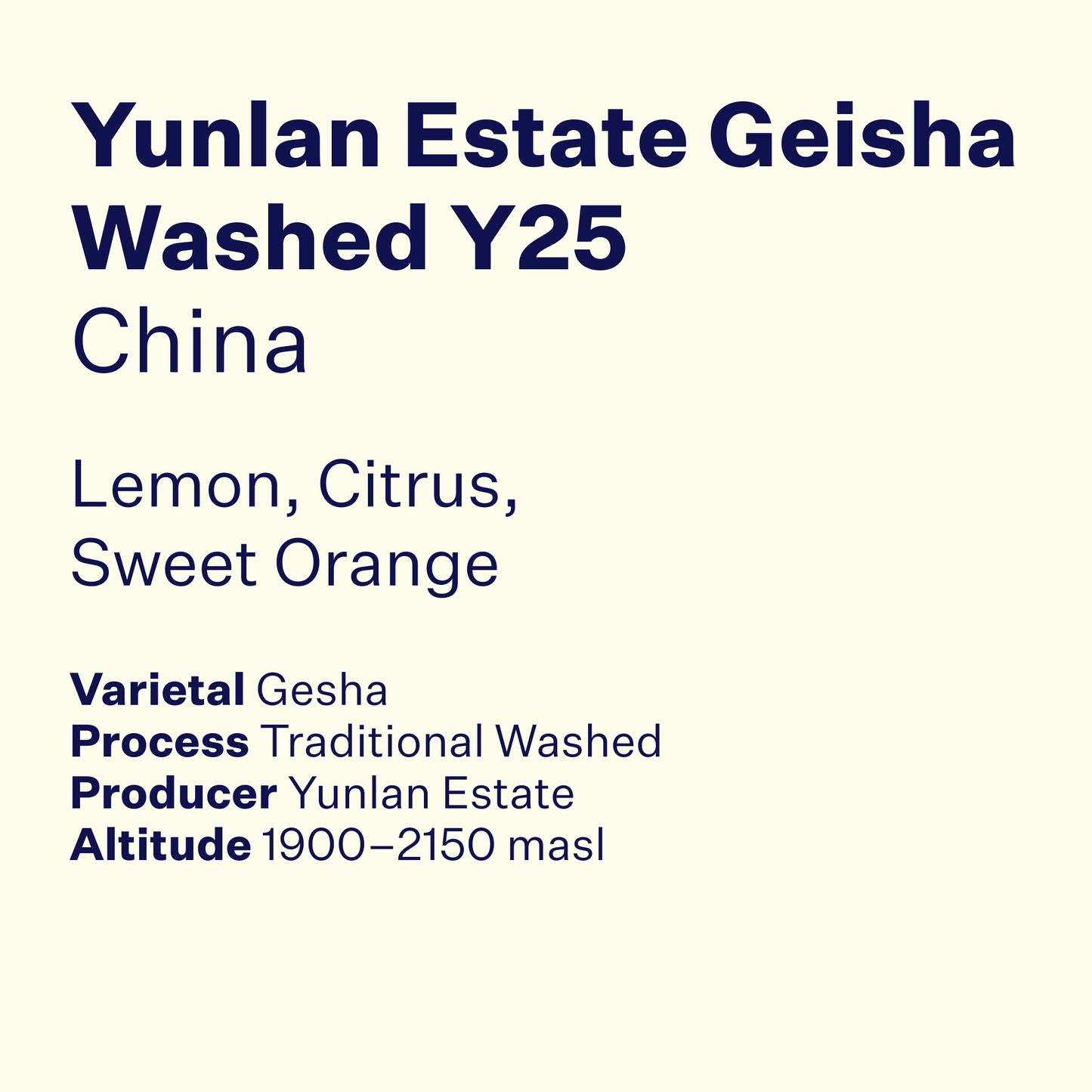 China Yunlan Estate Geisha Washed Y25