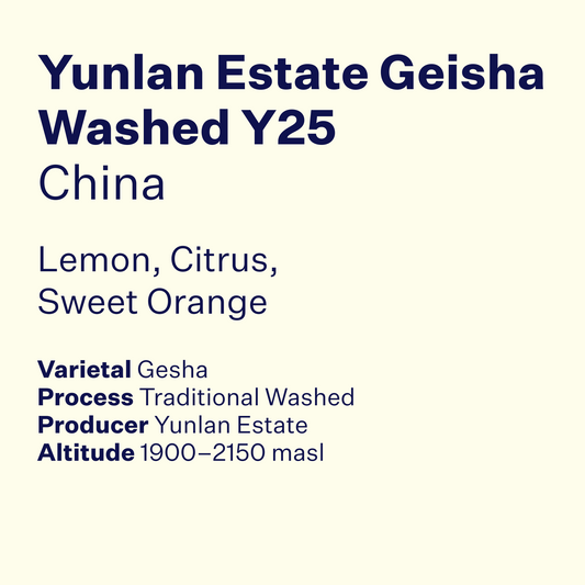China Yunlan Estate Geisha Washed Y25