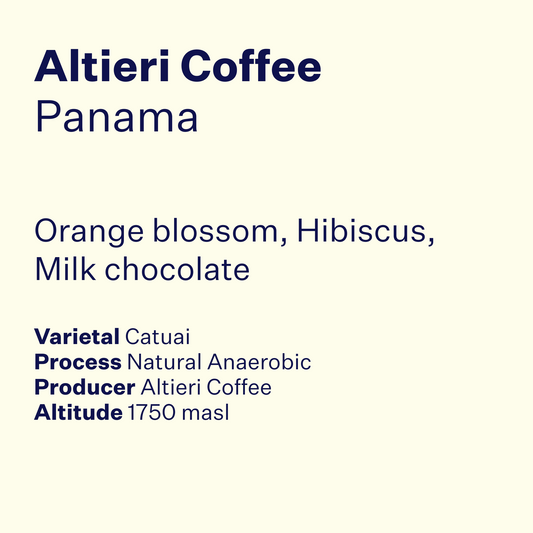 Panama Altieri Coffee Catuai